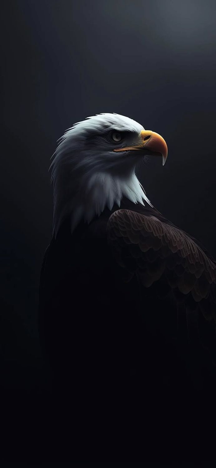 Close-up portrait of an eagle with piercing gaze and detailed feathers against a dark background