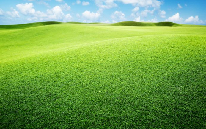 A vibrant green field with a rolling landscape under a blue sky with white clouds