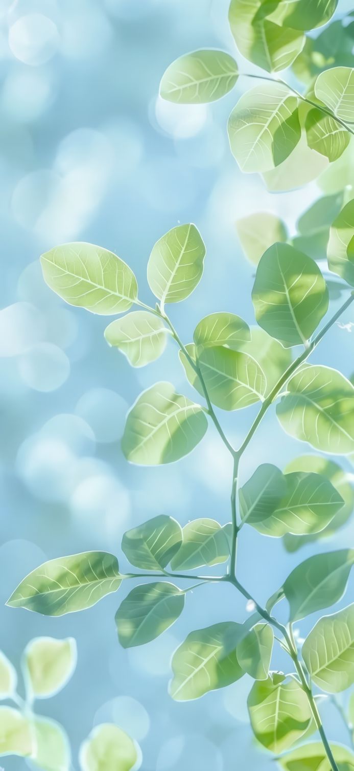 Green leaves on a branch with a blue bokeh background