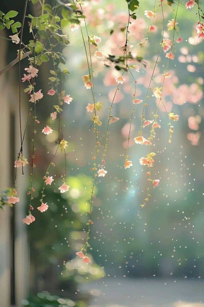 Delicate pink and white flowers hanging from vines in a garden setting