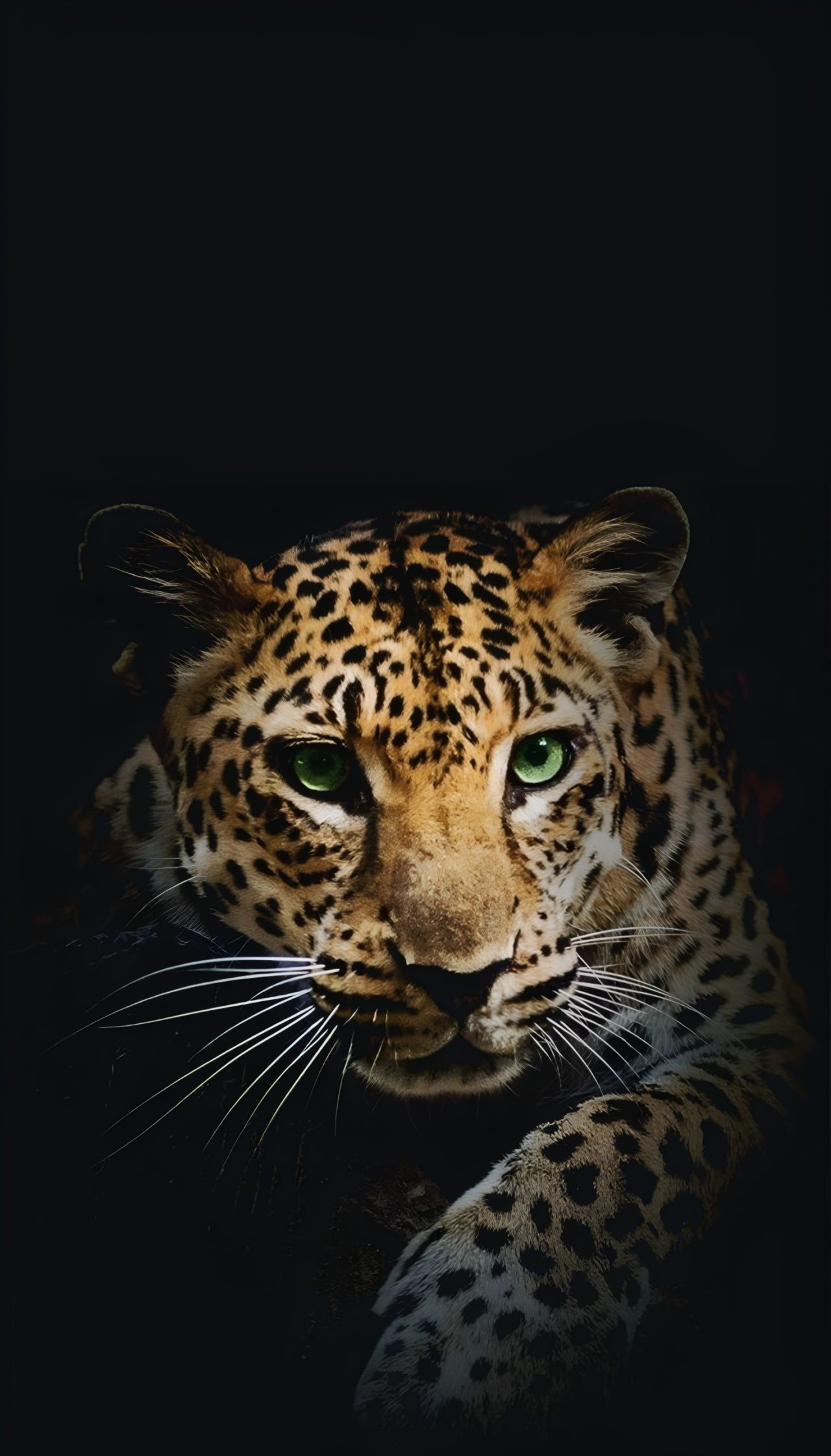 Close-up portrait of a leopard with green eyes