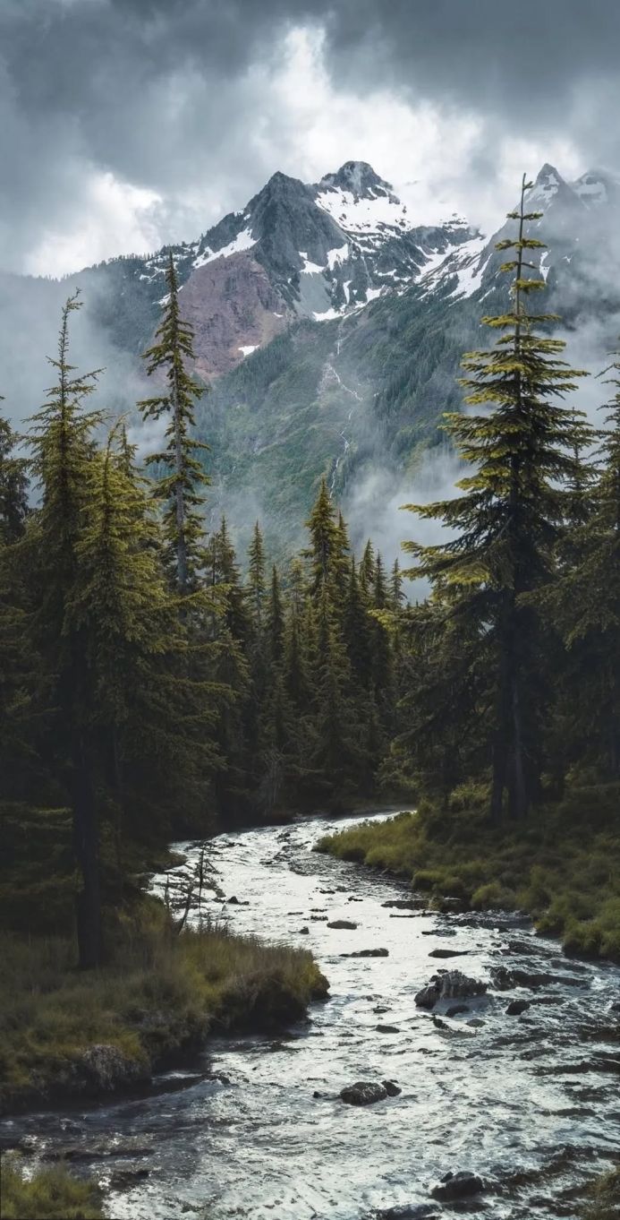 A river flows through a forest at the foot of snow-covered mountains shrouded in mist
