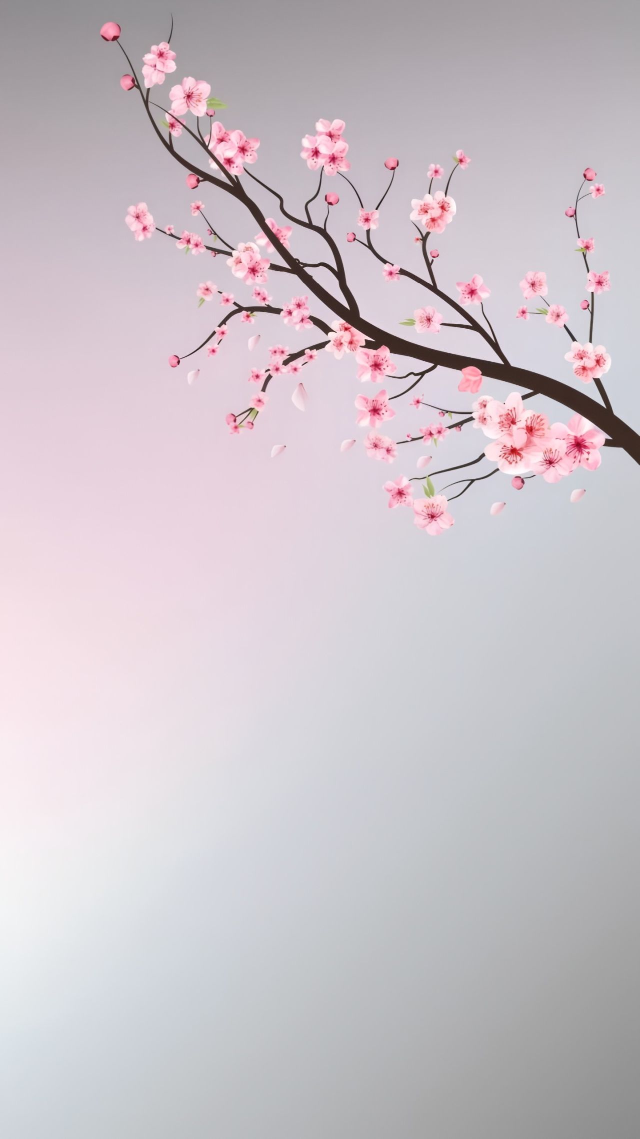 Cherry blossoms branch with pink flowers