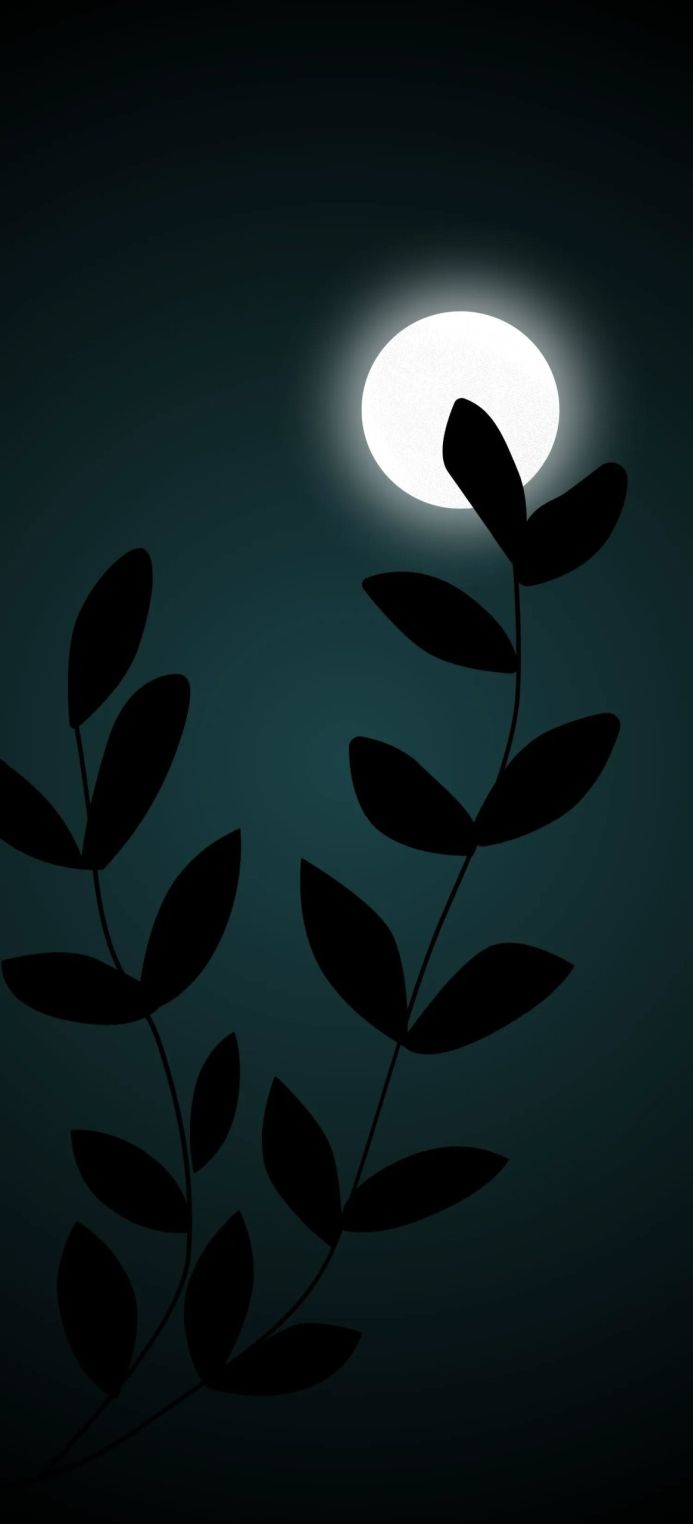 Silhouette of leaves against a white moon on a dark teal background