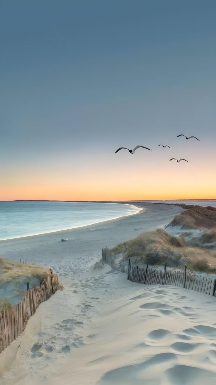 Seagulls flying over a sandy beach at sunrise, with a wooden fence in the foreground