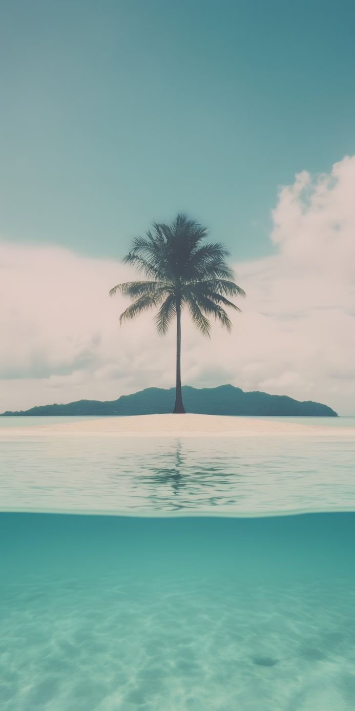 Palm tree on a tropical island, half underwater view