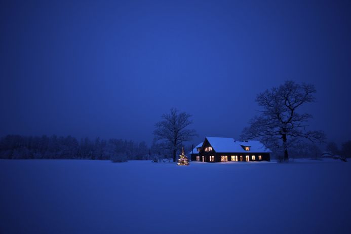 A house with lit windows and a Christmas tree in a snowy landscape at night