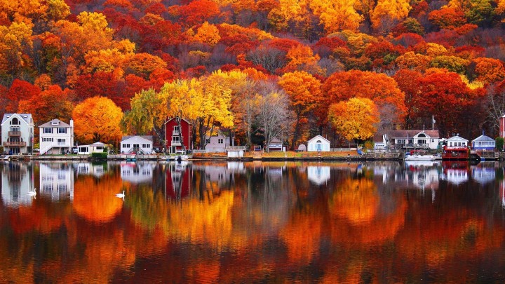 Autumn landscape houses water reflection swans
