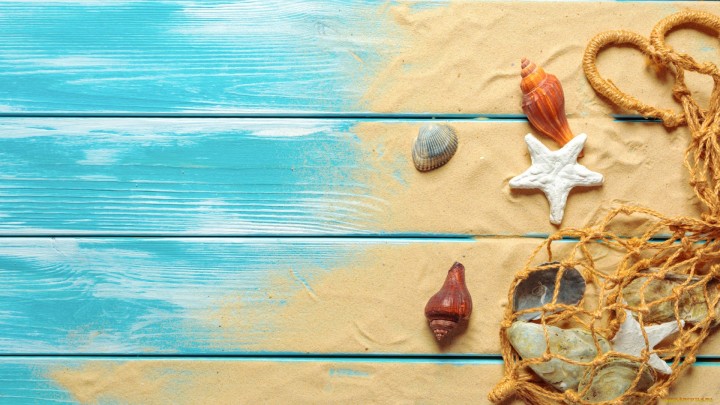 Beach sand blue wood seashells starfish fishing net