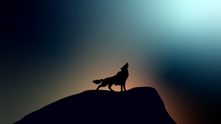 Dark wolf blue glow standing snow