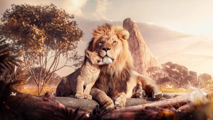 Lion and cub on rock in savanna at sunset