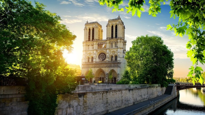 Notre Dame Cathedral Paris at sunset with trees