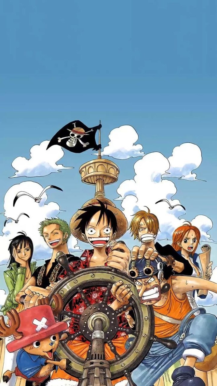 One Piece Straw Hat Pirates characters group sailing