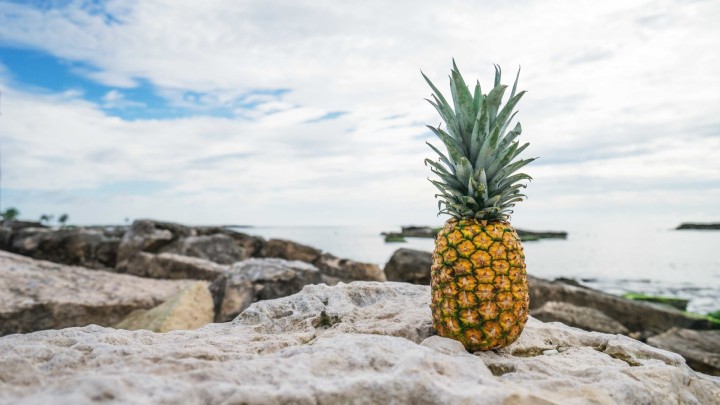 Pineapple on a plain orange background