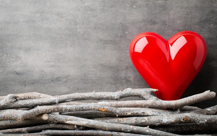 Red heart and dry branches on grey background