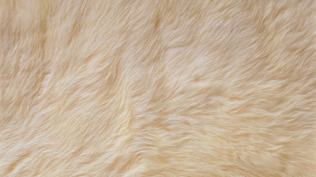 Soft beige fur texture background pattern
