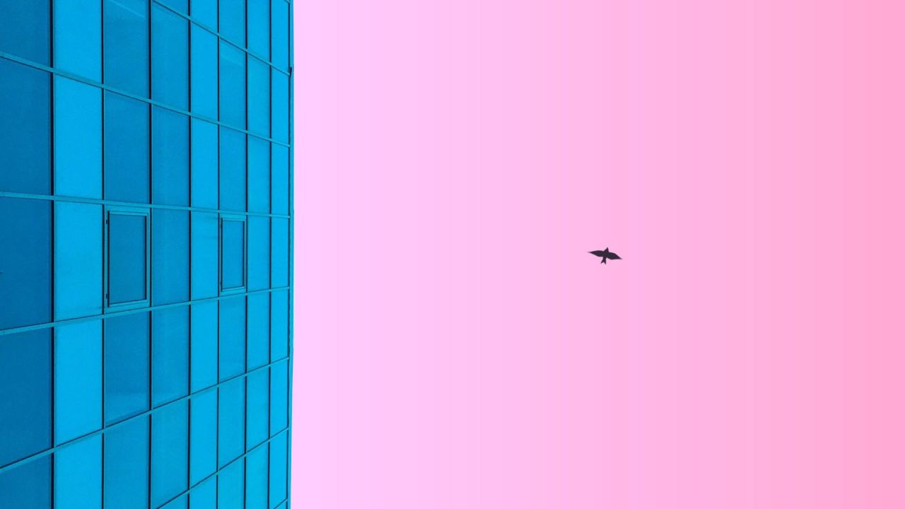 Blue building facade and black bird in pink sky