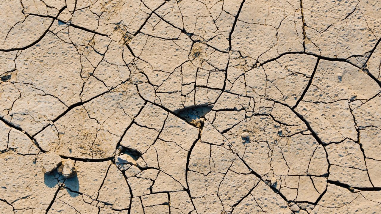 Cracked dry earth surface texture background