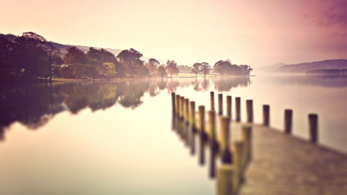 A tranquil lake reflecting trees and sky, with a wooden dock extending into the water