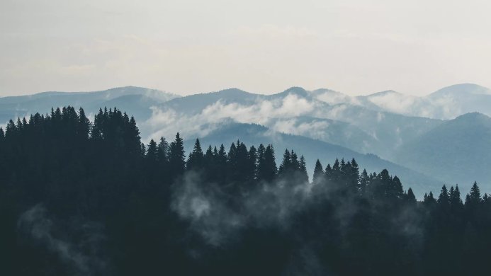 A landscape with tree-covered mountains and fog in blue and grey tones