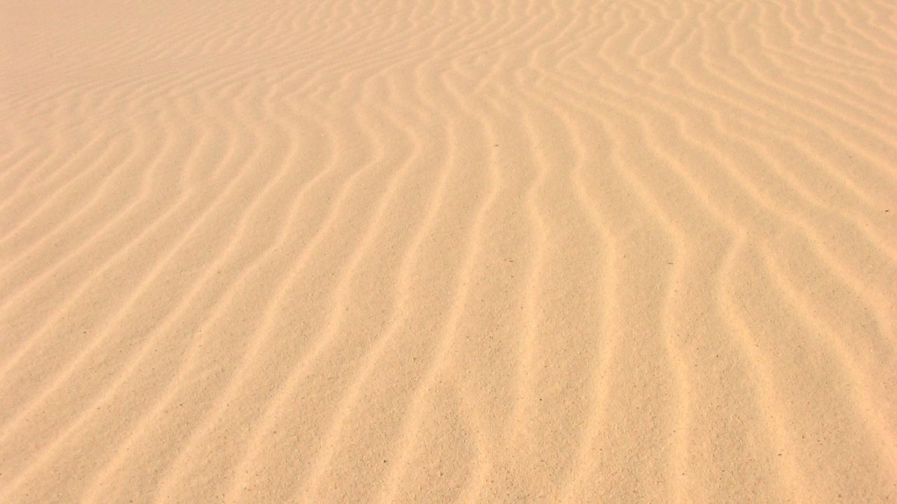 Pattern of wind blown sand dunes desert texture