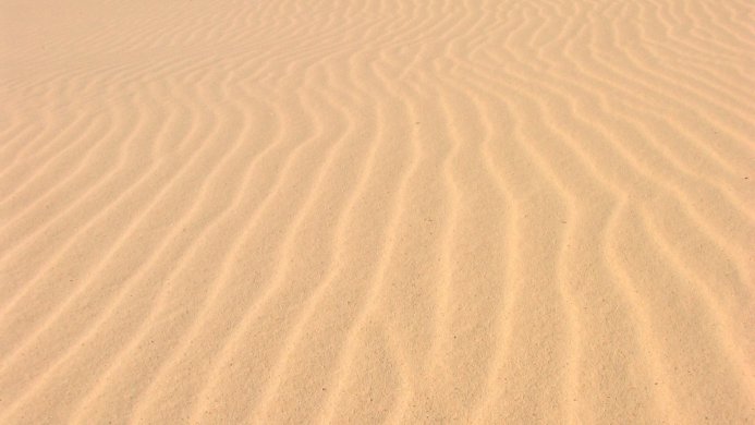 Sand dunes with natural wave patterns in a desert landscape