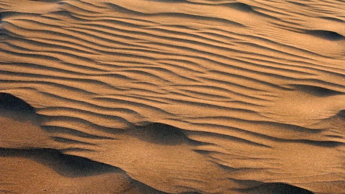 Sand dunes with wavy patterns, lit by warm sunlight. Brown and beige textures