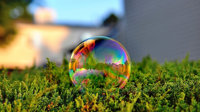 A soap bubble rests on green foliage, reflecting a colorful landscape within its surface