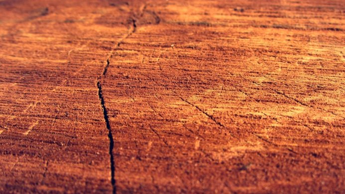 Close-up of textured wood surface in warm brown and orange tones