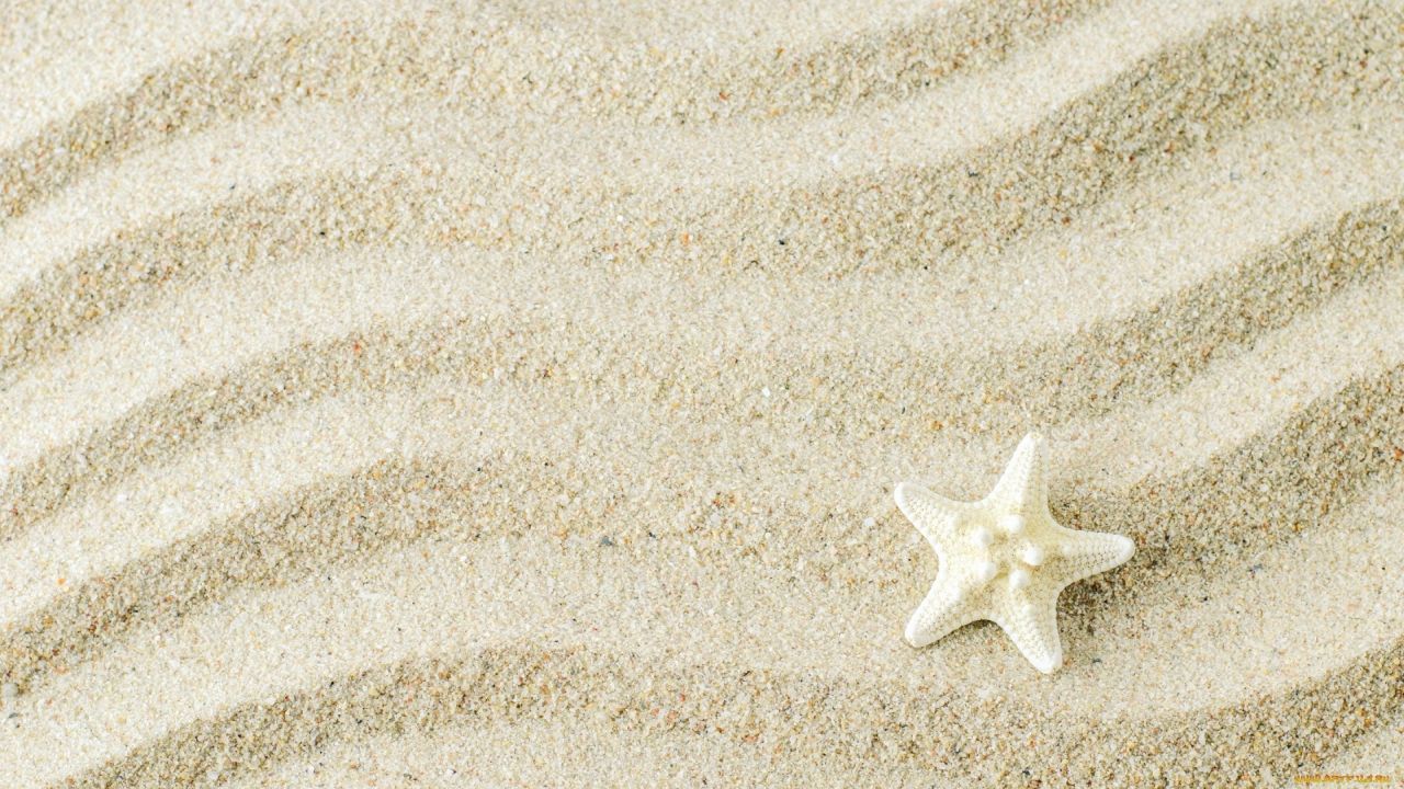 White starfish on wavy sand background