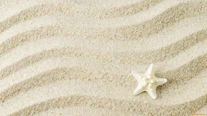 A white starfish on rippled sand