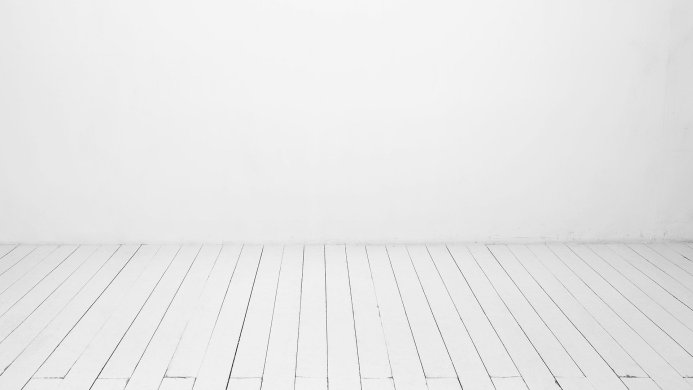 A white wall and floor create a minimalist backdrop for photos