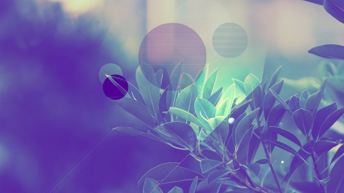 Abstract image of leaves and geometric circles in shades of purple, green, and blue