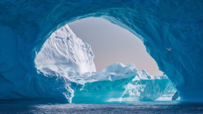 Iceberg with cave, bird flying in the sky, blue water