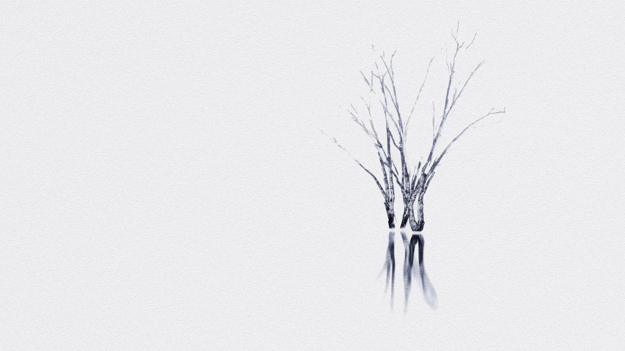 Silhouette of tree reflected in water