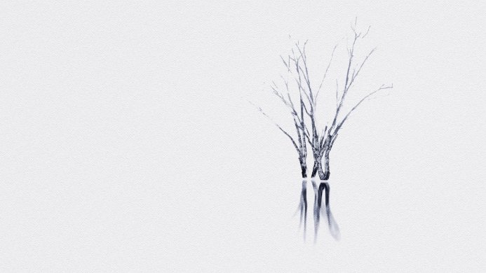 A bare tree reflects on the water against a white background in a minimalist style
