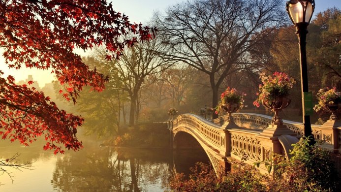 Bow Bridge in Central Park during autumn, surrounded by colorful trees and still water