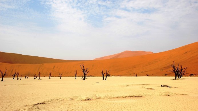 Dead trees stand in the arid landscape of Deadvlei, Namibia, under a blue sky with scattered clouds