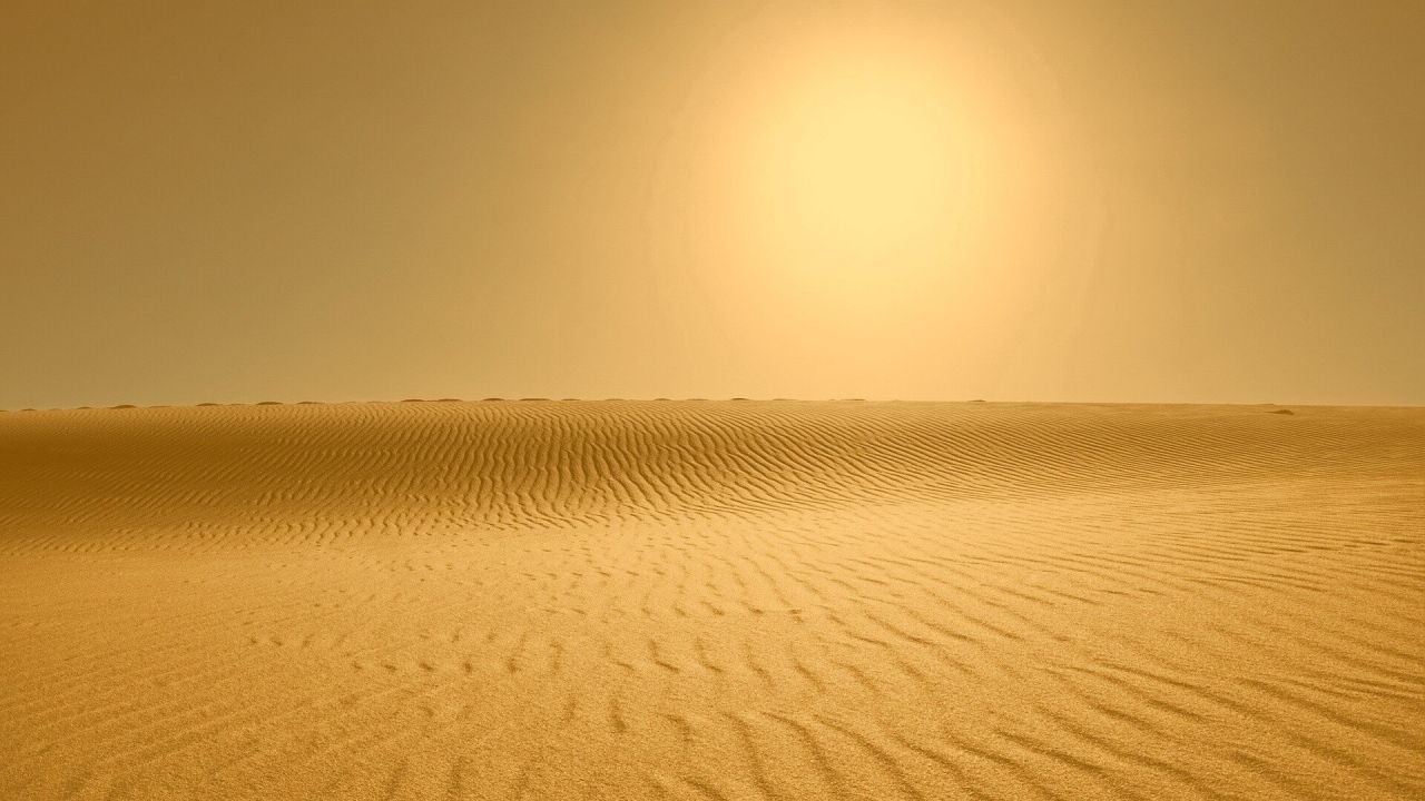 Golden sand dunes in desert landscape
