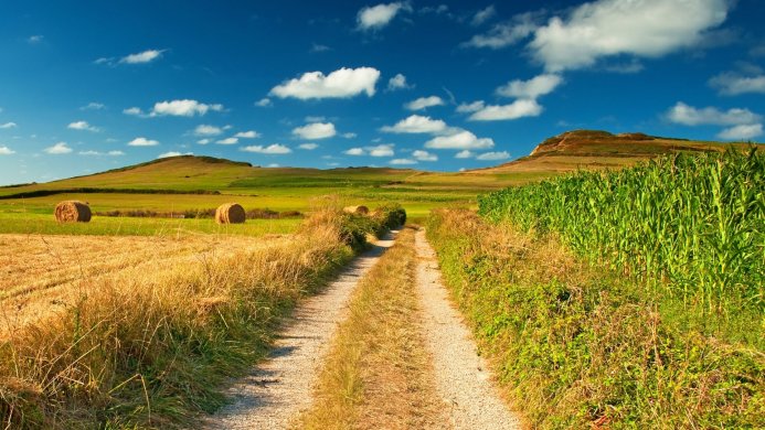 A dirt road leading through fields to rolling hills with hay bales under a blue sky with clouds
