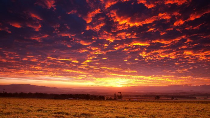 Vibrant sunset over a field with fiery clouds in the sky