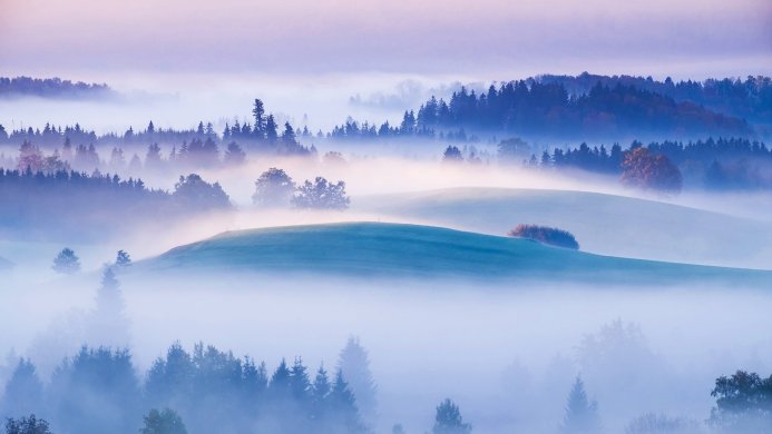 Foggy landscape with rolling hills and trees