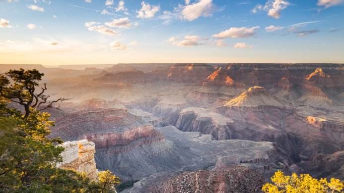 Grand Canyon view at sunset with trees and rock formations