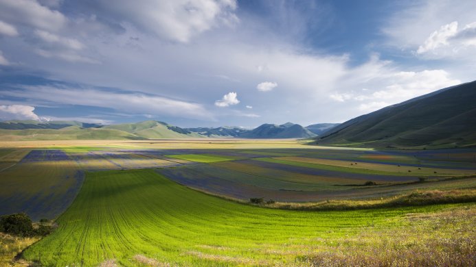 A vast field with various crops, under a partly cloudy sky, with mountains in the distance