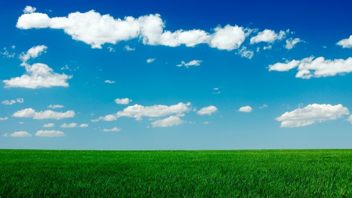 A field of green grass stretches under a blue sky with white clouds