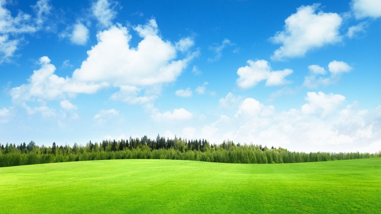 Green field with forest and blue sky