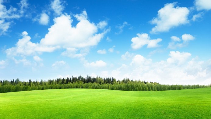 A lush green field under a blue sky with white clouds and a forest in the background