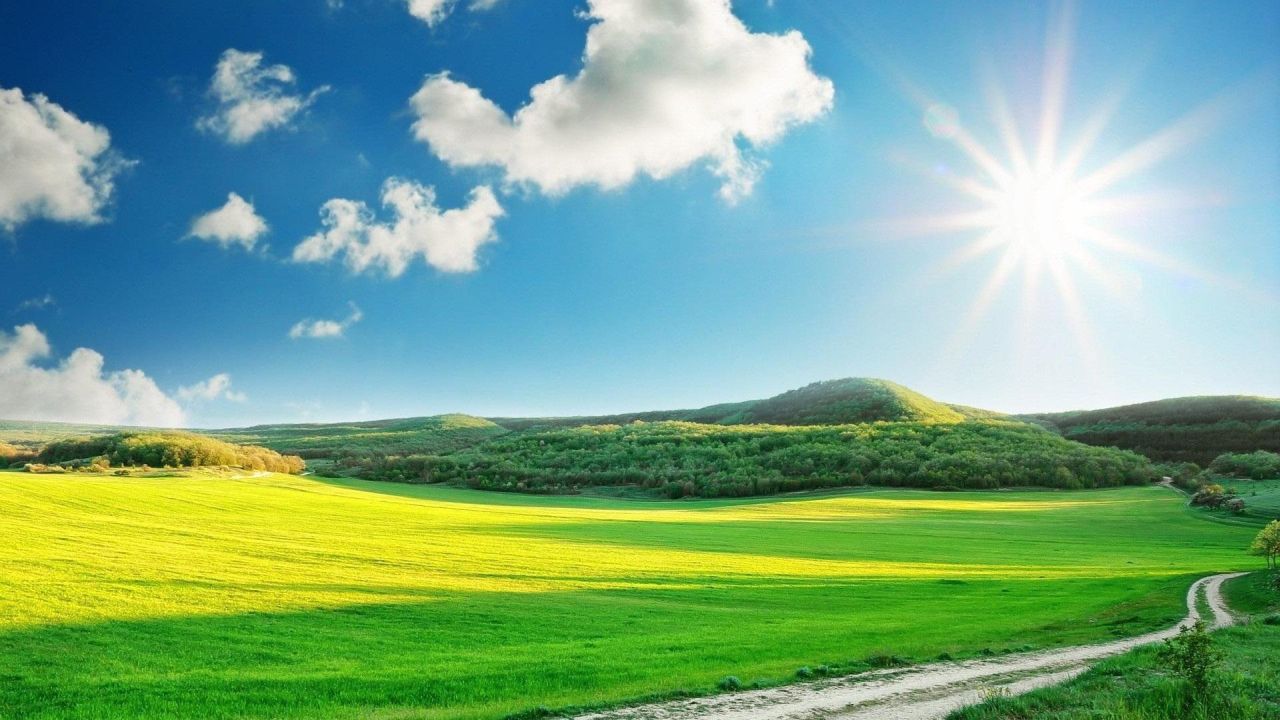 Green field with blue sky and sun