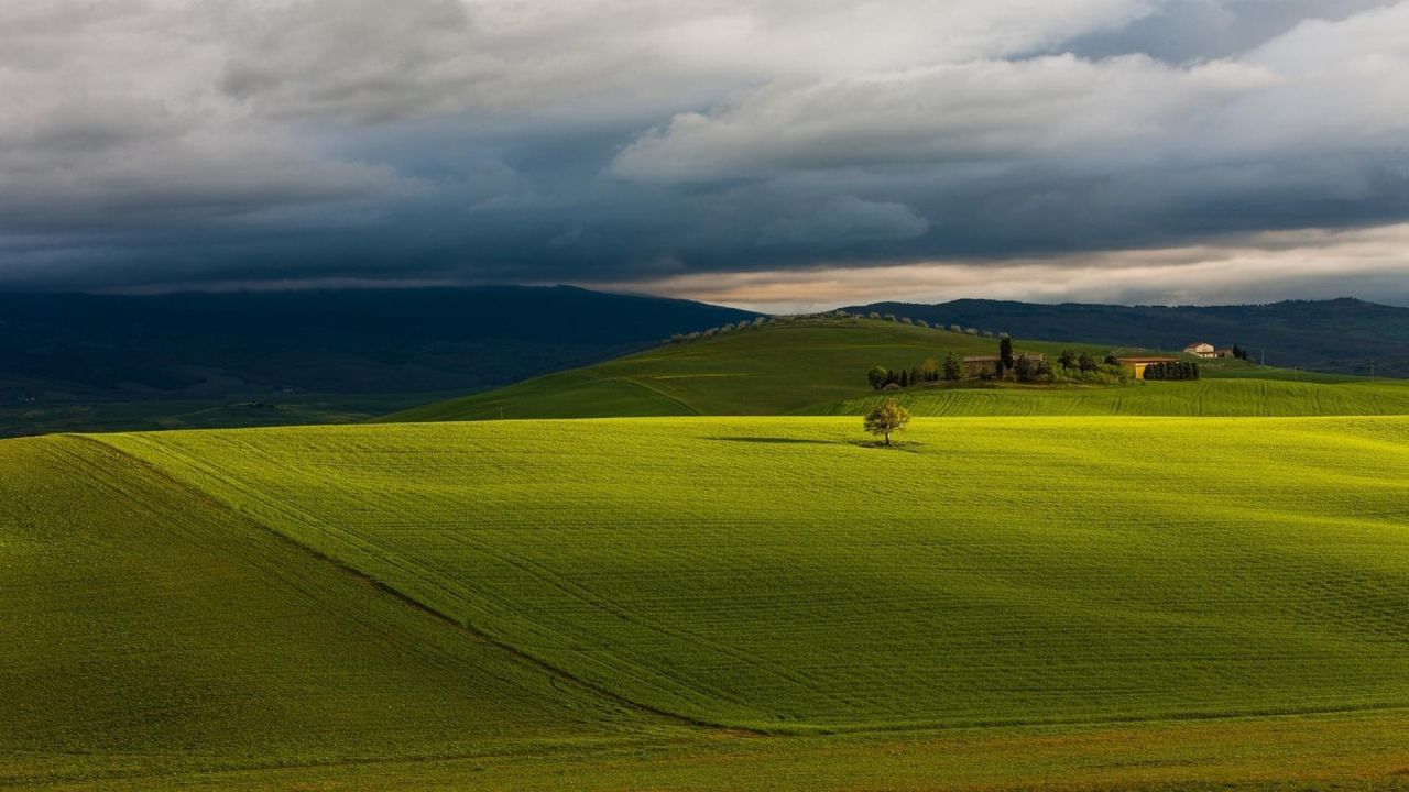Lone tree in a green field under a cloudy sky