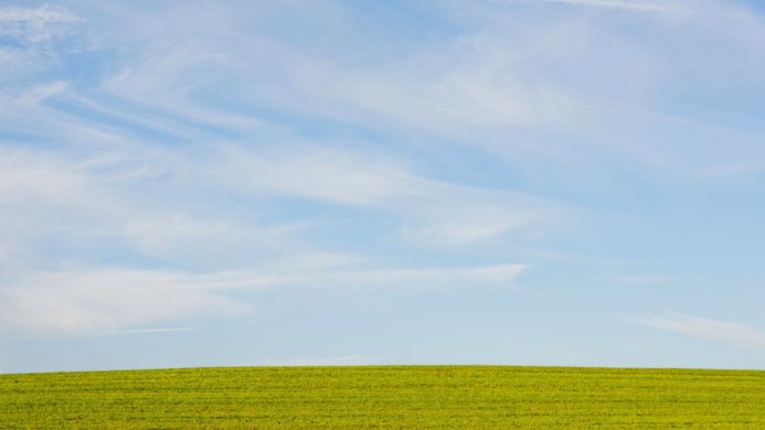 Green grass field under a bright blue sky with wispy clouds